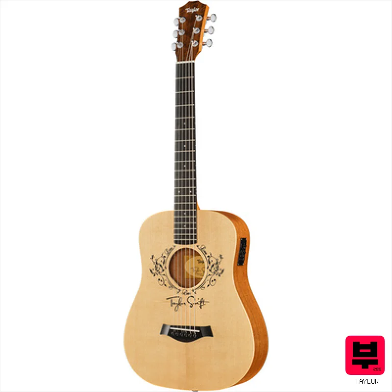 Taylor TS-BTe LH - Miscellaneous Acoustic Guitars