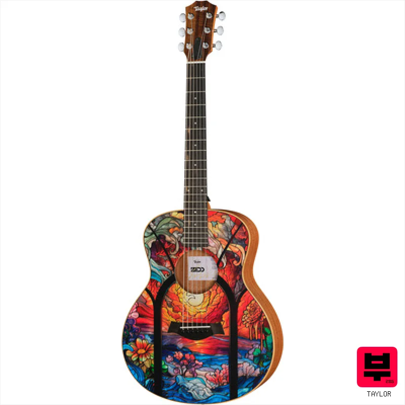 Taylor ZEDD GS Mini Telos Special Ed - Folk Acoustic Guitars