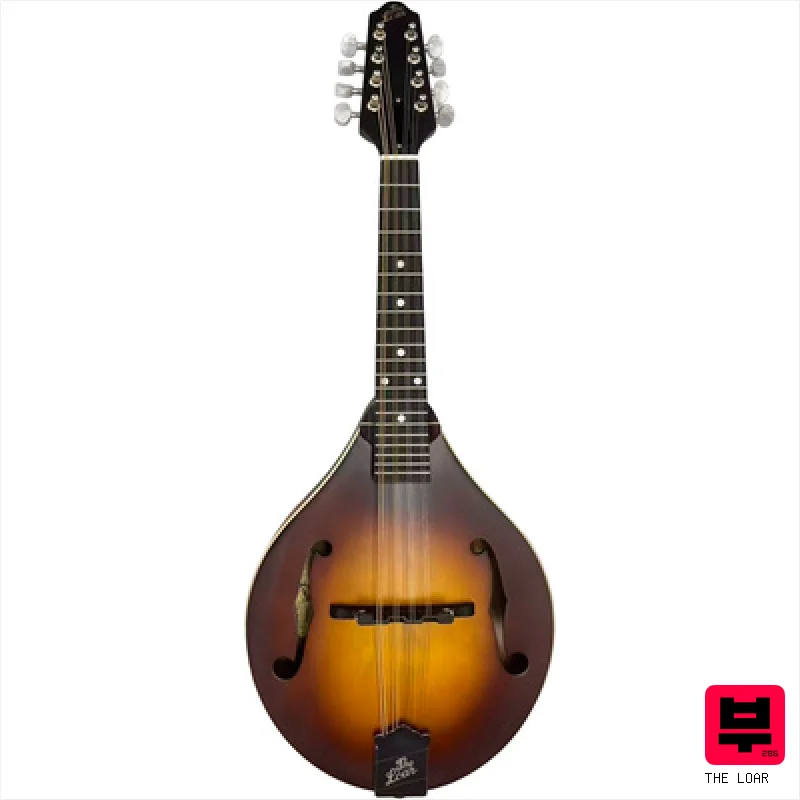 The Loar LM-110E-BRB - Mandolins