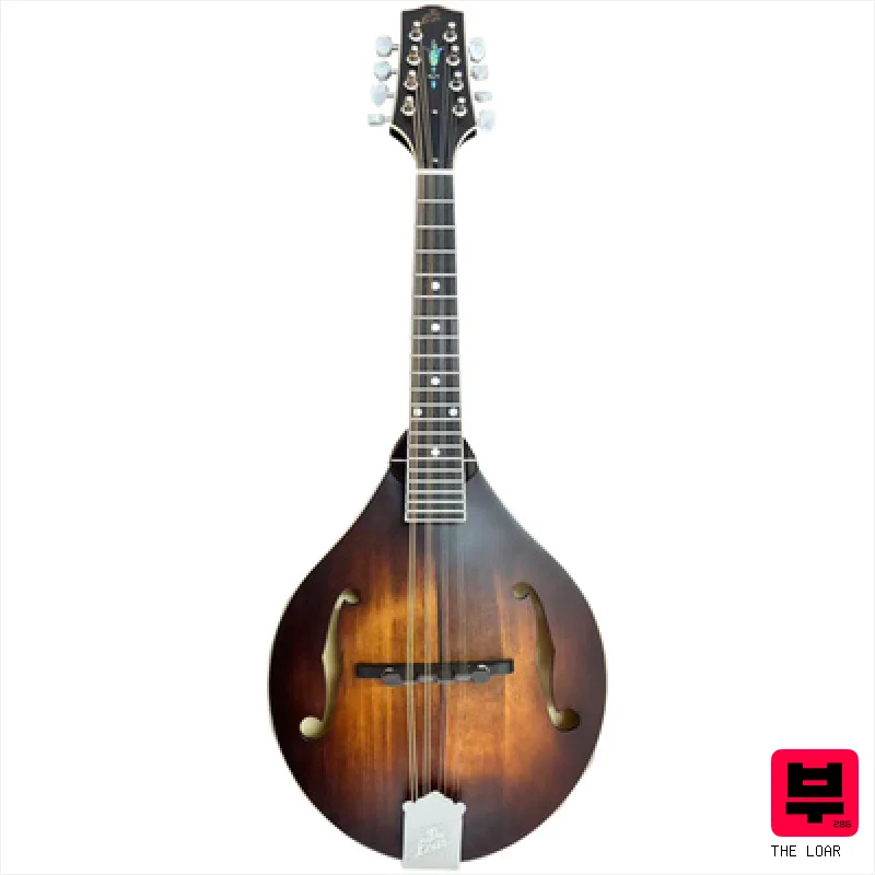The Loar LM-190 Dark Brown - Mandolins