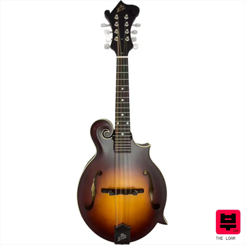 The Loar LM-310E-BRB - Mandolins
