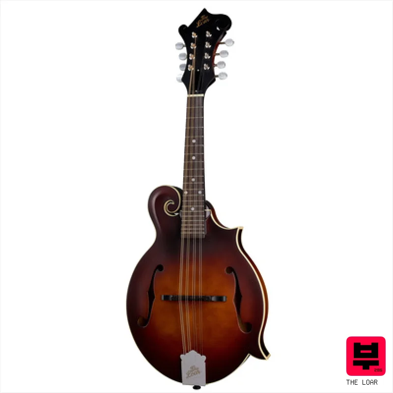 The Loar LM-310F-BRB - Mandolins