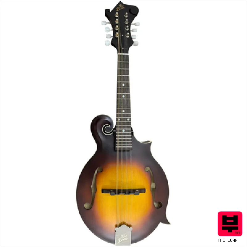 The Loar LM-380 GB - Mandolins