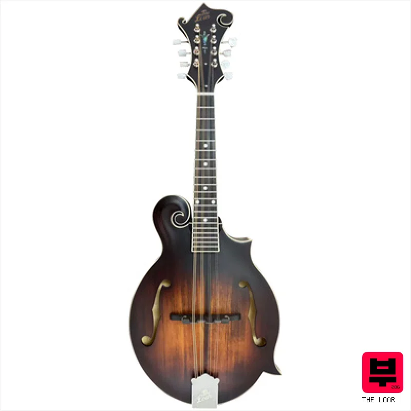 The Loar LM-390 Dark Brown - Mandolins