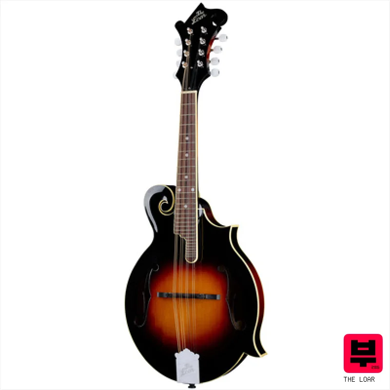 The Loar LM-520-VS - Mandolins