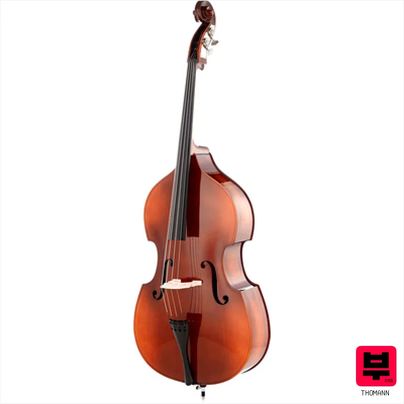 Thomann 11 1/2 Europe Double Bass - Child/Youth Double Basses