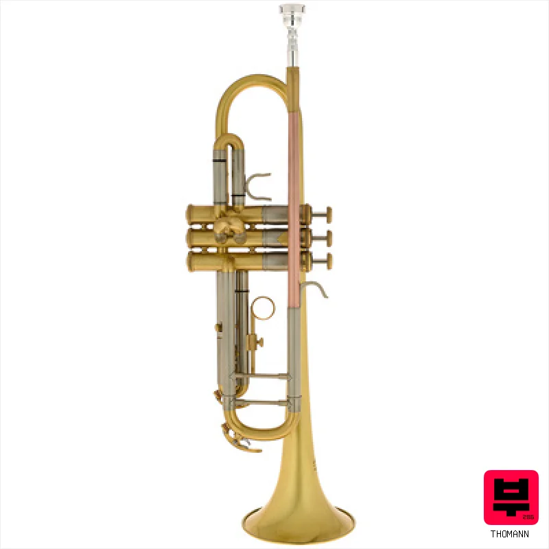 Thomann TR 620 M Bb-Trumpet - Bb Trumpets
