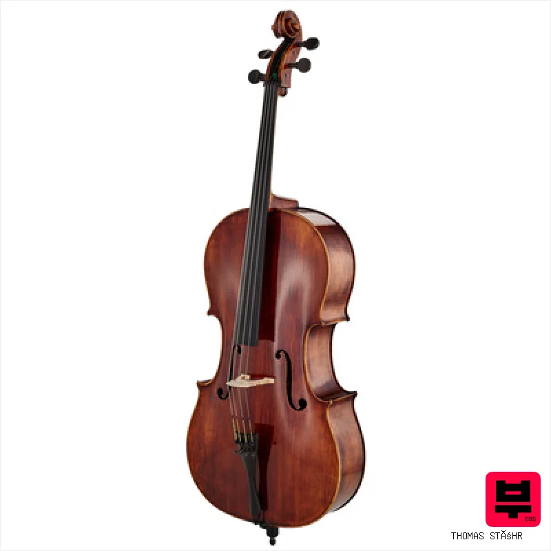 Thomas Stöhr Master Cello Strad. Poplar 4/4 - Professional Music Instrument Photo