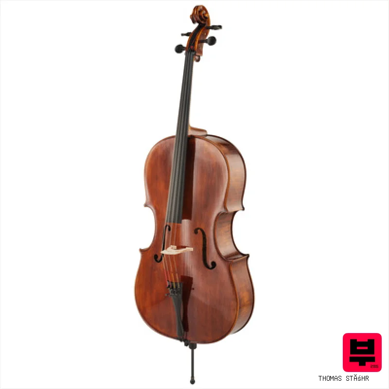 Thomas Stöhr Master Professional Montagnana - Master Class Cellos