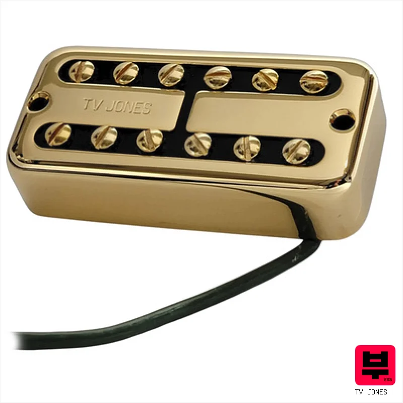 TV Jones PowerTron NE UM G - Professional Music Instrument Photo