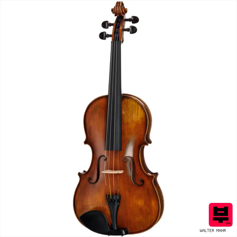 Walter Mahr Viola Jacobs Model 15,5" - Professional Music Instrument Photo