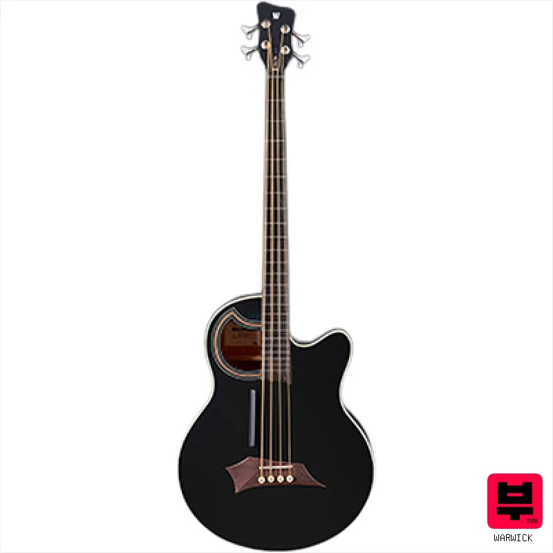 Warwick RockBass Alien Standard 4 BLS - Fretless Acoustic Basses