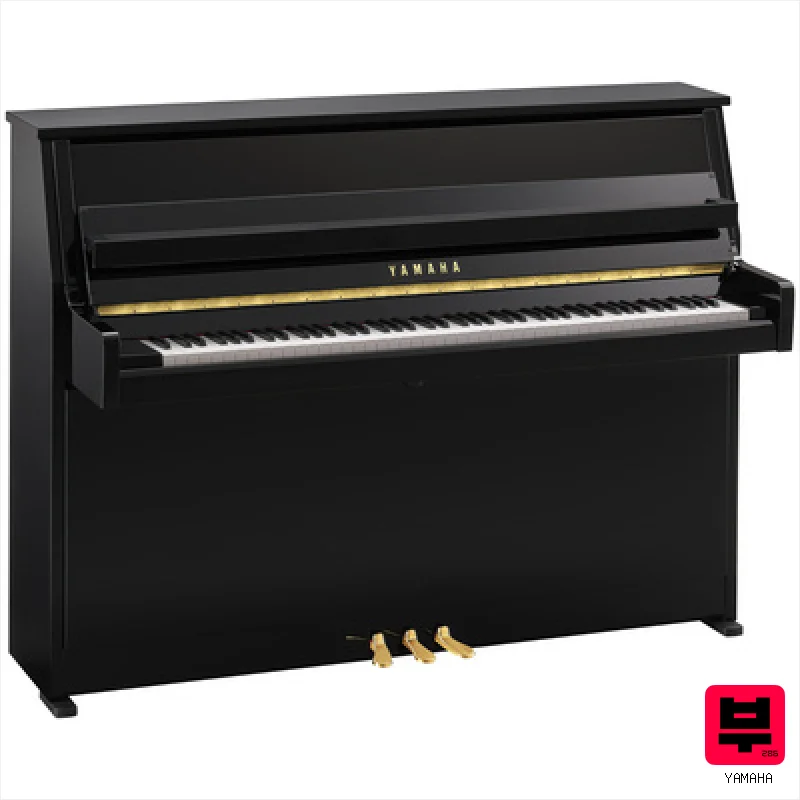 Yamaha B10 PE - Professional Music Instrument Photo
