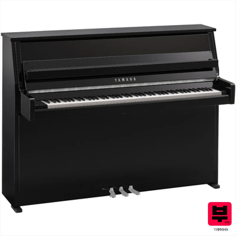 Yamaha B10 PEC