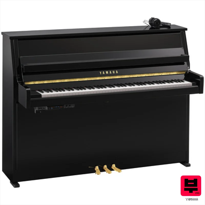 Yamaha B10 SC3 PE - Professional Music Instrument Photo