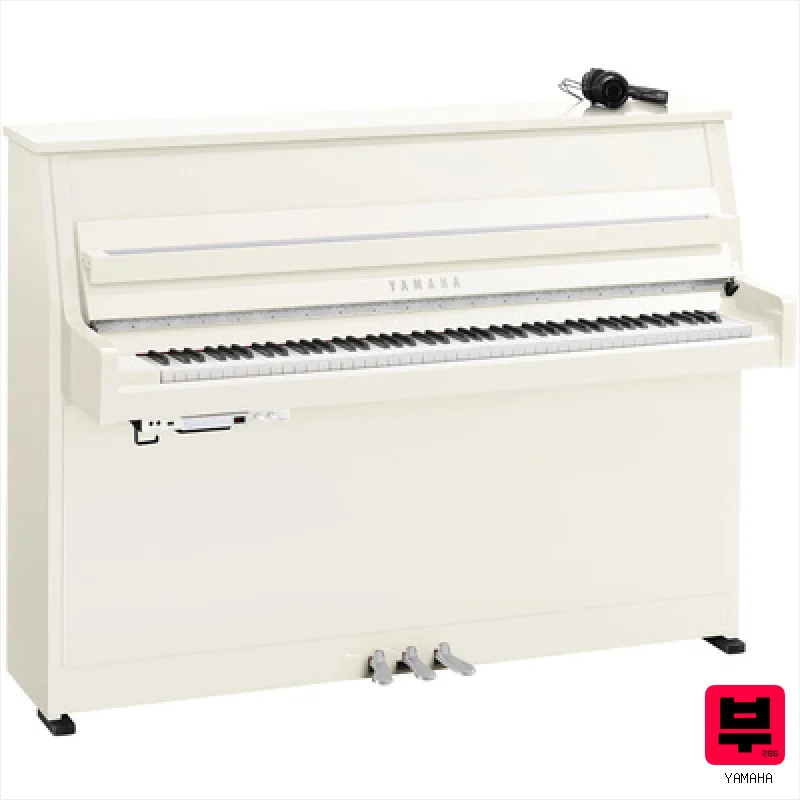 Yamaha B10 SC3 PWHC