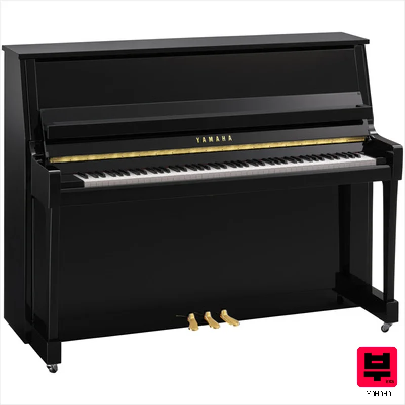 Yamaha B20 PE - Professional Music Instrument Photo