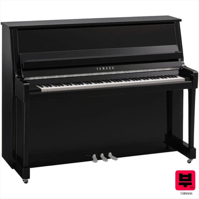 Yamaha B20 PEC - Professional Music Instrument Photo