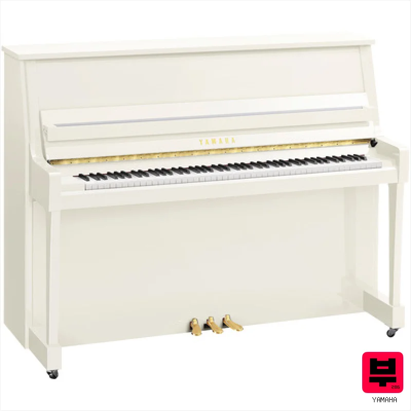 Yamaha B20 PWH - Professional Music Instrument Photo