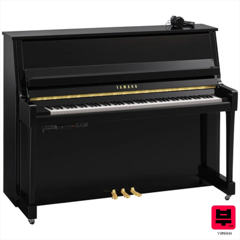 Yamaha B20 SC3 PE - Professional Music Instrument Photo