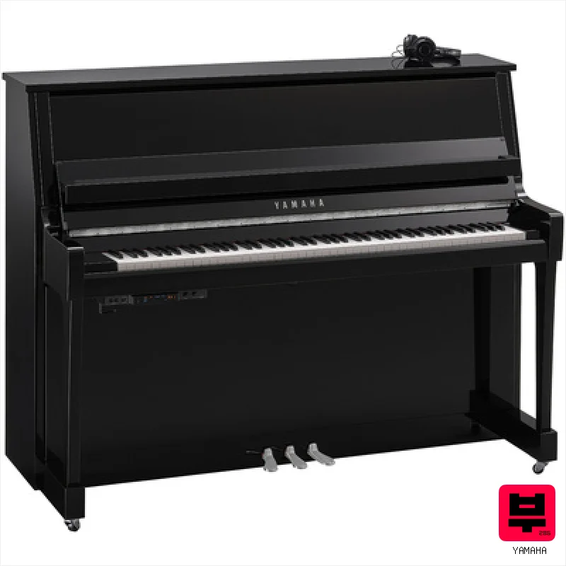 Yamaha B20 SC3 PEC