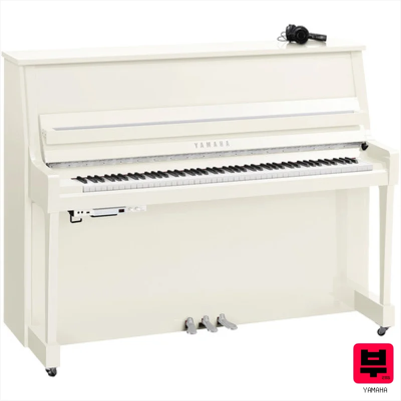 Yamaha B20 SC3 PWHC