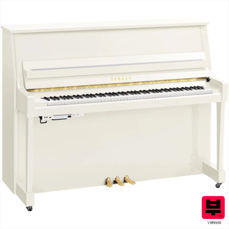 Yamaha B20 TC3 PWH