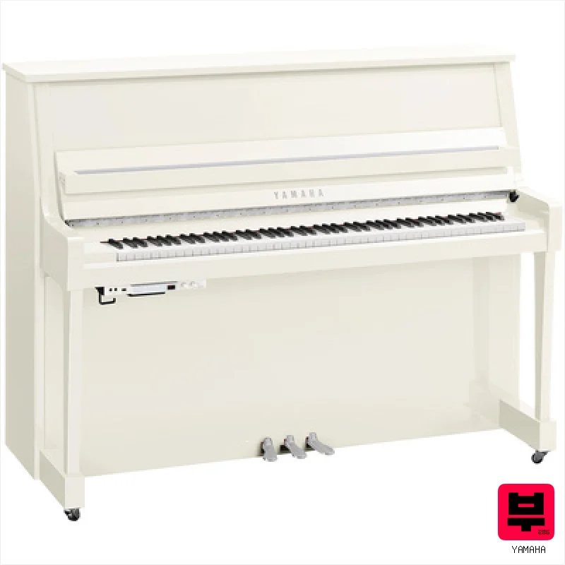 Yamaha B20 TC3 PWHC