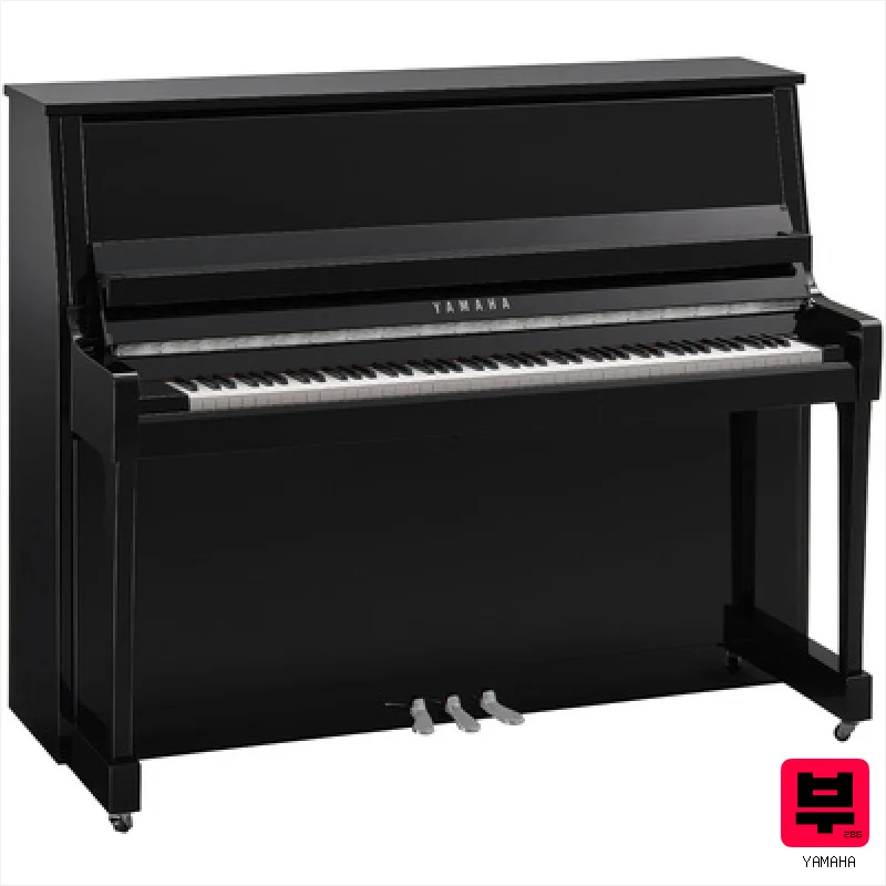 Yamaha B30 PEC - Professional Music Instrument Photo