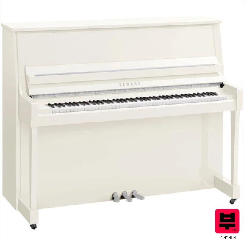 Yamaha B30 PWHC