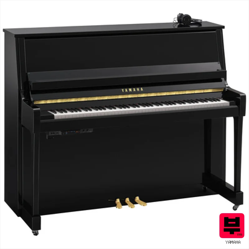 Yamaha B30 SC3 PE - Professional Music Instrument Photo