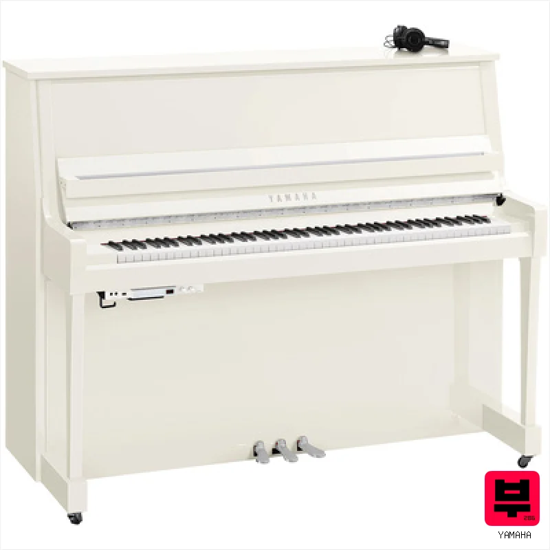 Yamaha B30 SC3 PWHC