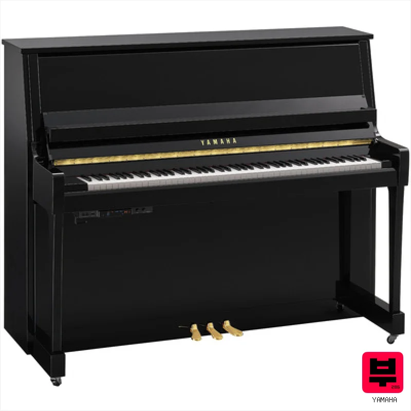 Yamaha B30 TC3 PE - Professional Music Instrument Photo