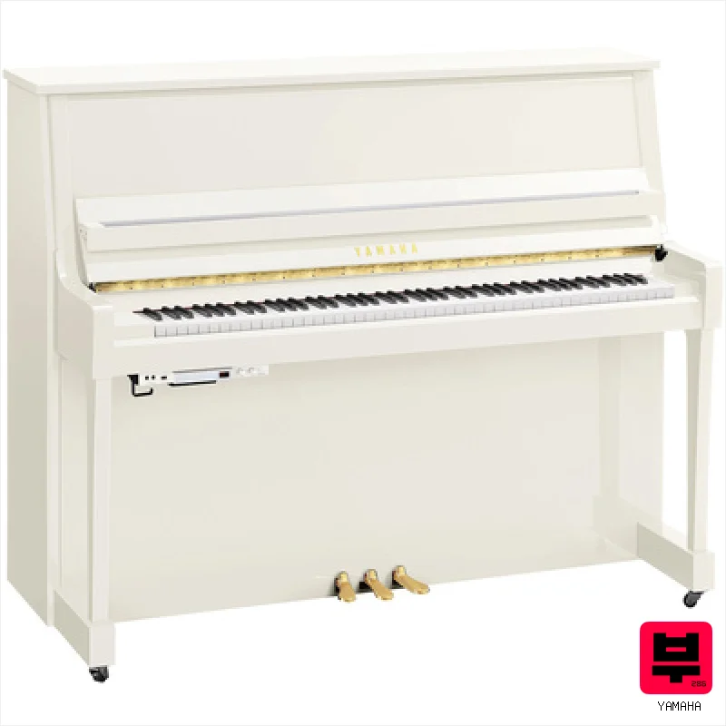 Yamaha B30 TC3 PWH