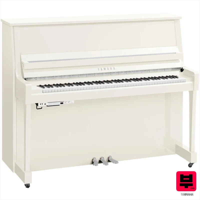 Yamaha B30 TC3 PWHC