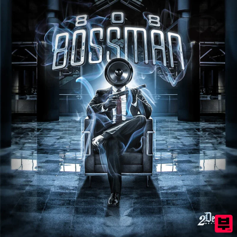 2Deep 808 Bossman - Professional Music Instrument Photo