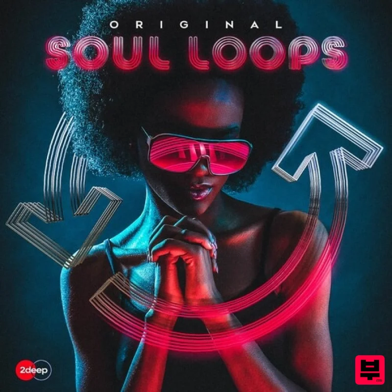 2Deep Original Soul Loops - Professional Music Instrument Photo