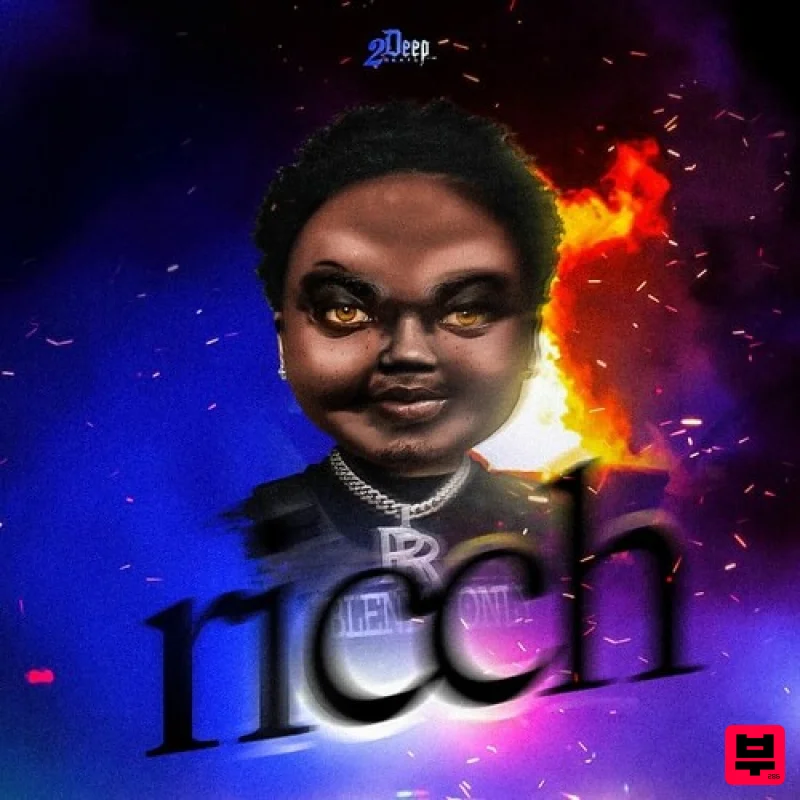 2Deep Ricch - Professional Music Instrument Photo