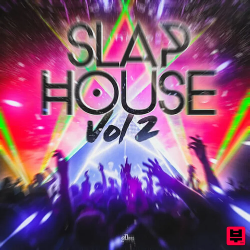 2Deep Slap House Vol.2 - House