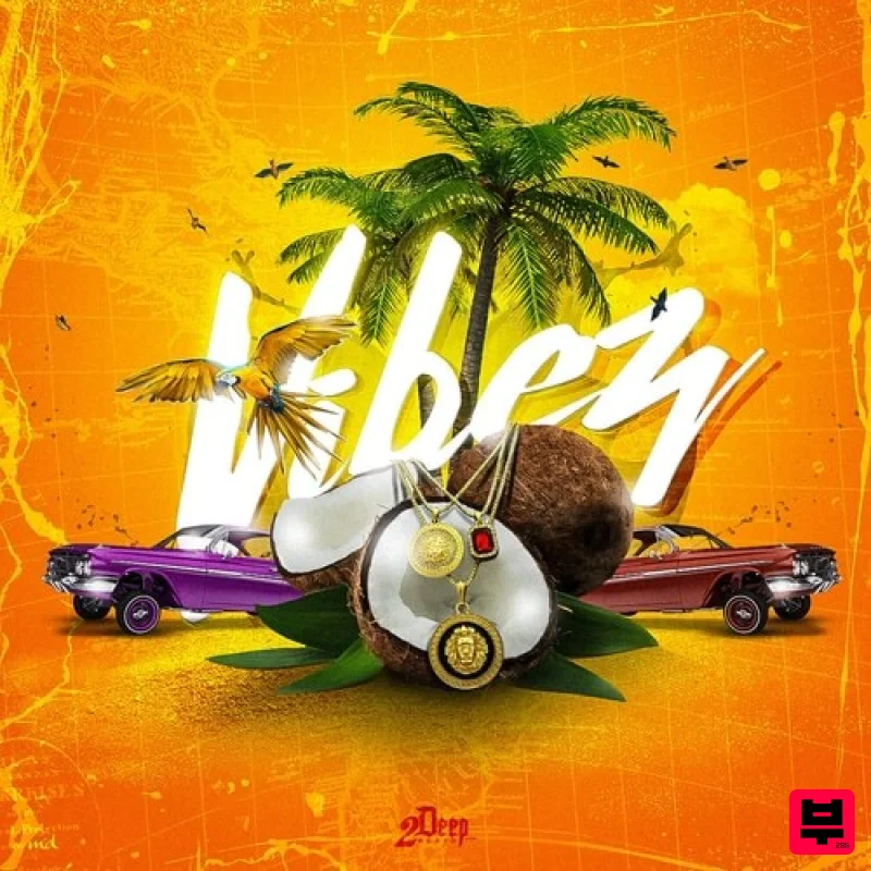 2Deep Vibez - Professional Music Instrument Photo