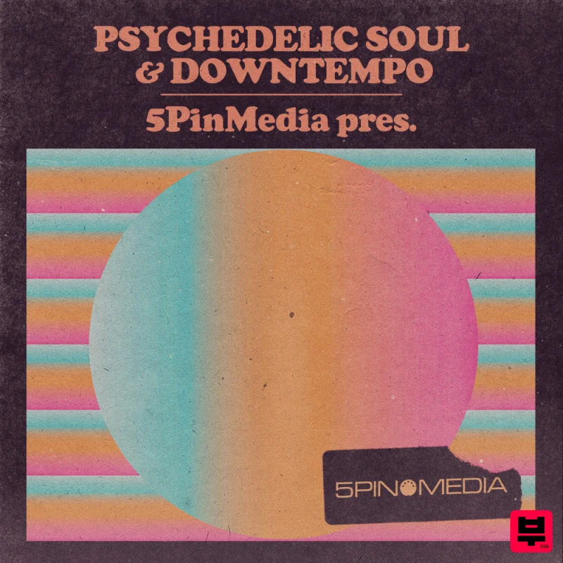 5Pin Media Psychedelic Soul & Downtempo - Professional Music Instrument Photo
