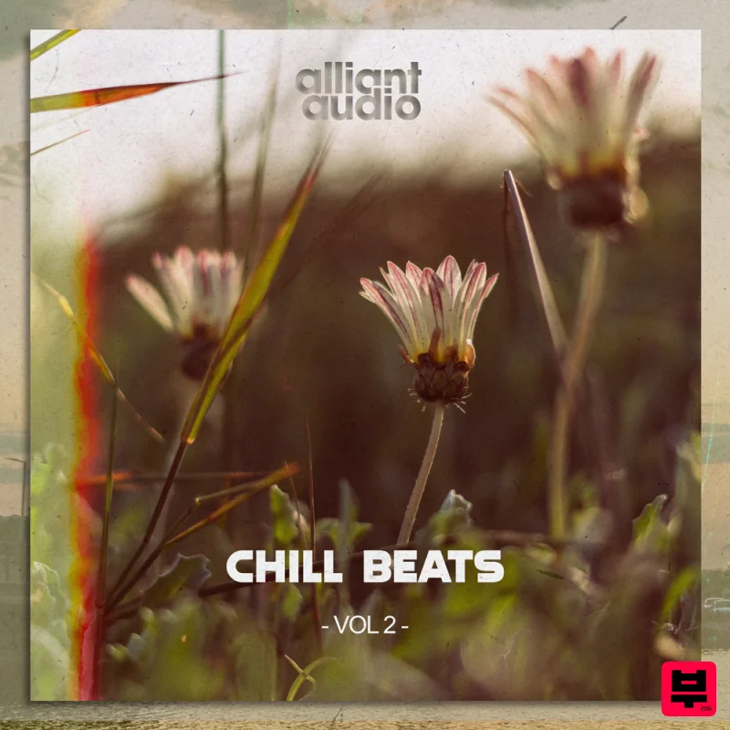 Alliant Audio Chill Beats Vol. 2 - Professional Music Instrument Photo
