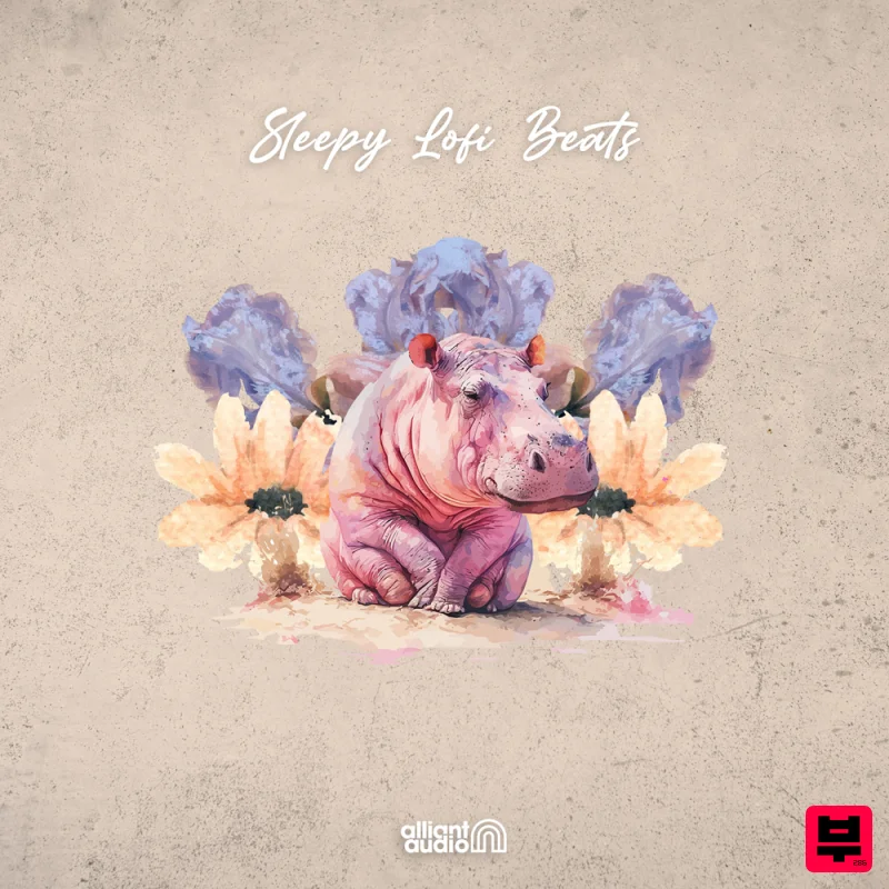 Alliant Audio Sleepy Lo-Fi Beats - Professional Music Instrument Photo