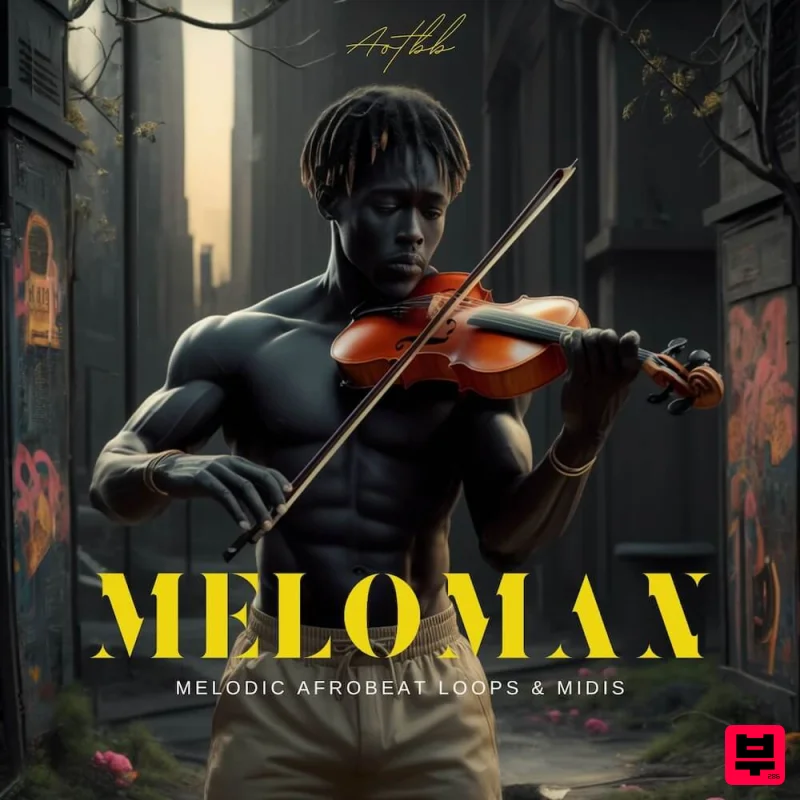 AOTBB Meloman – Melodic Afrobeats - Professional Music Instrument Photo