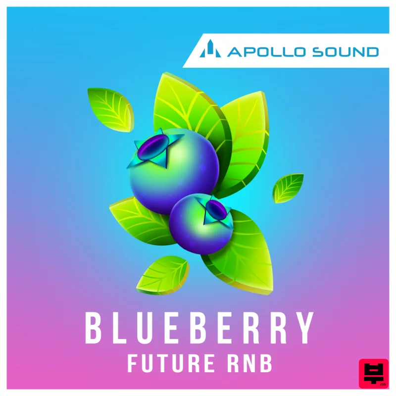 Apollo Sound Blueberry Future RnB - Professional Music Instrument Photo