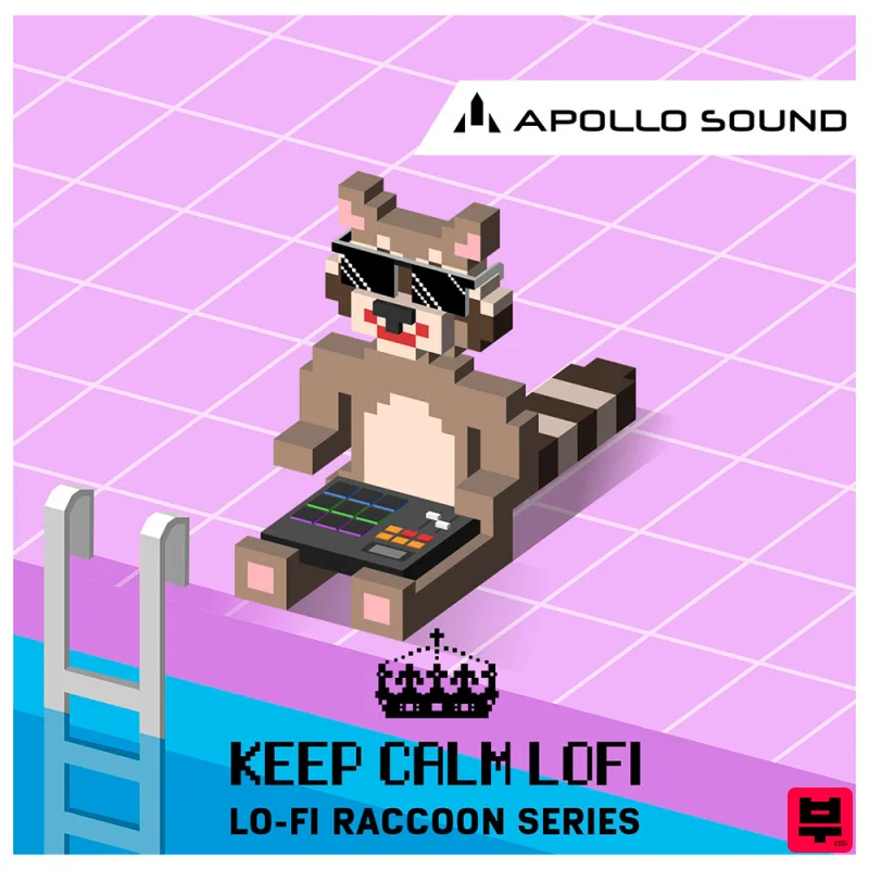 Apollo Sound Keep Calm LoFi - Professional Music Instrument Photo