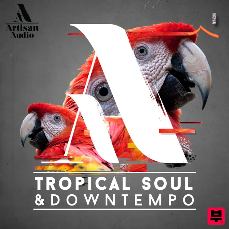 Artisan Audio Tropical Soul & Downtempo - Downtempo