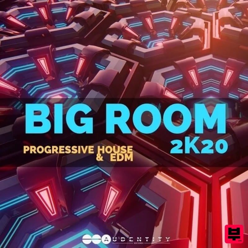 Audentity Records Big Room 2k20 - Professional Music Instrument Photo