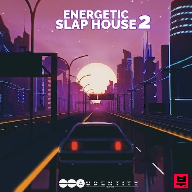 Audentity Records Energetic Slap House 2 - Professional Music Instrument Photo
