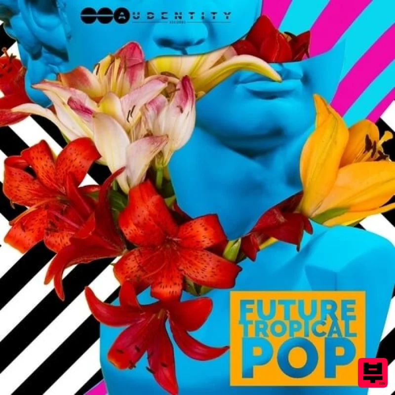 Audentity Records Future Tropical Pop - Pop